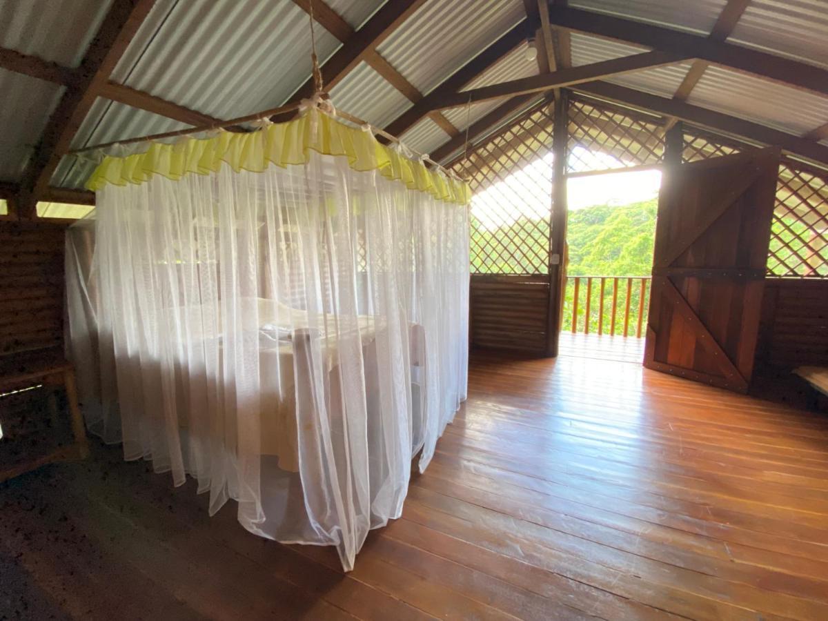Eco Guest House - Sarapiqui 1 エクステリア 写真