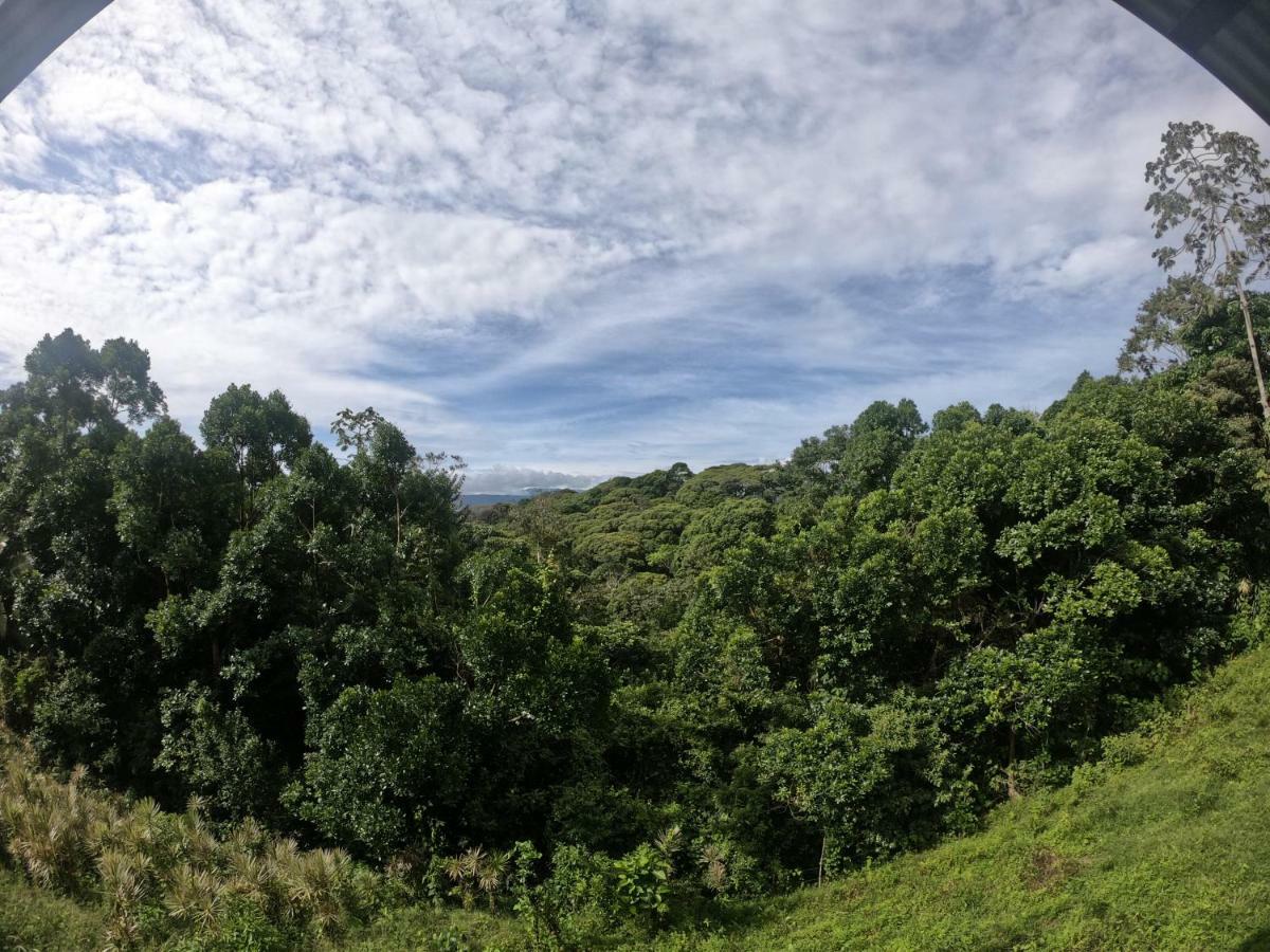 Eco Guest House - Sarapiqui 1 エクステリア 写真